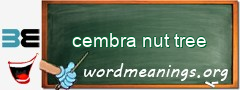 WordMeaning blackboard for cembra nut tree